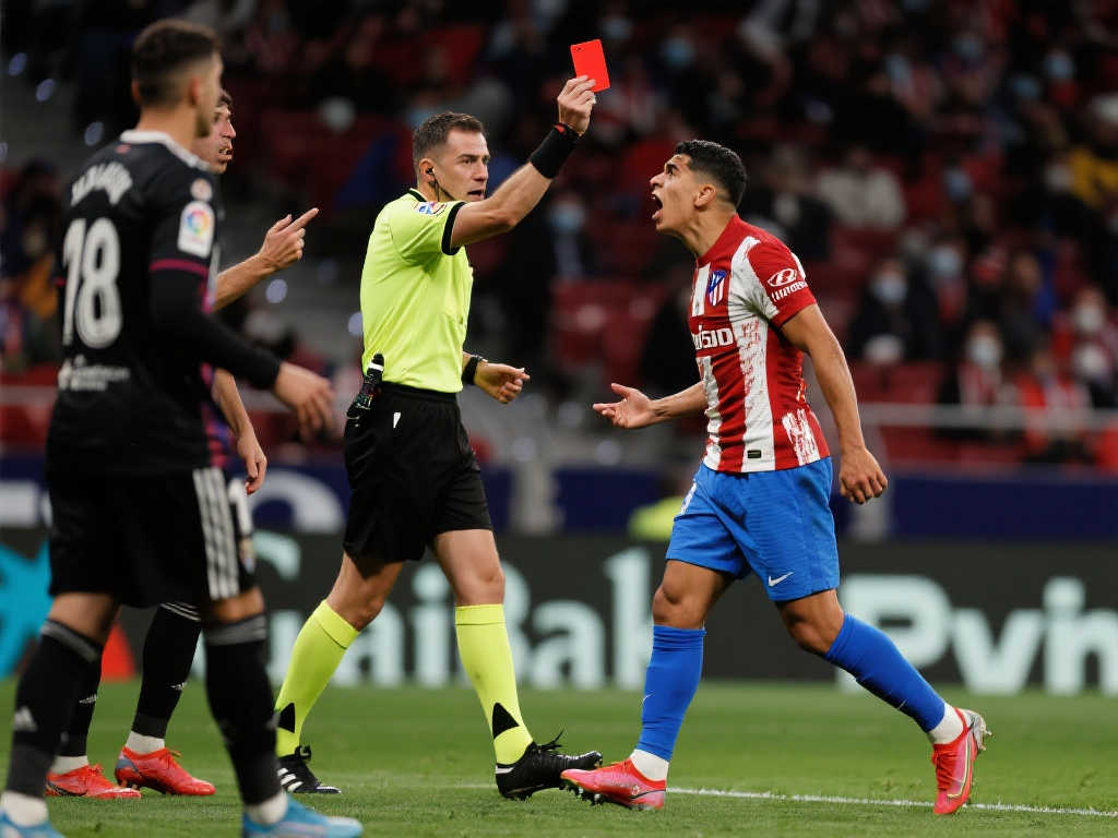 素质使得他 素质使得他